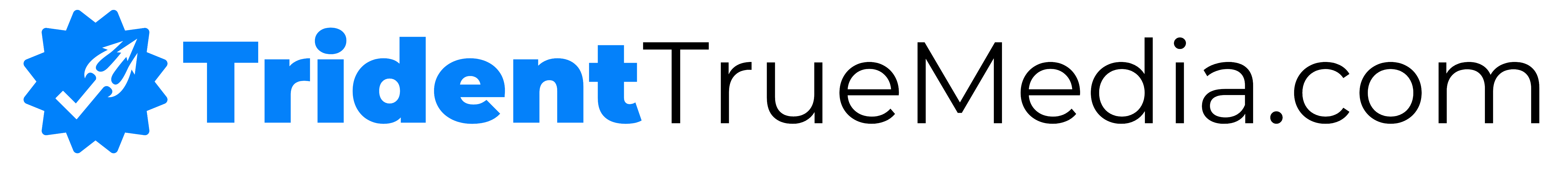 Trident True Media